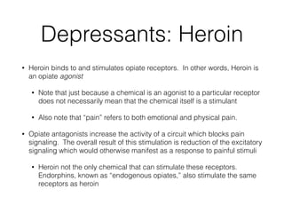 Depressants: Heroin
• Heroin binds to and stimulates opiate receptors. In other words, Heroin is
an opiate agonist
• Note that just because a chemical is an agonist to a particular receptor
does not necessarily mean that the chemical itself is a stimulant
• Also note that “pain” refers to both emotional and physical pain.
• Opiate antagonists increase the activity of a circuit which blocks pain
signaling. The overall result of this stimulation is reduction of the excitatory
signaling which would otherwise manifest as a response to painful stimuli
• Heroin not the only chemical that can stimulate these receptors.
Endorphins, known as “endogenous opiates,” also stimulate the same
receptors as heroin
 