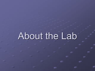 About the Lab
 