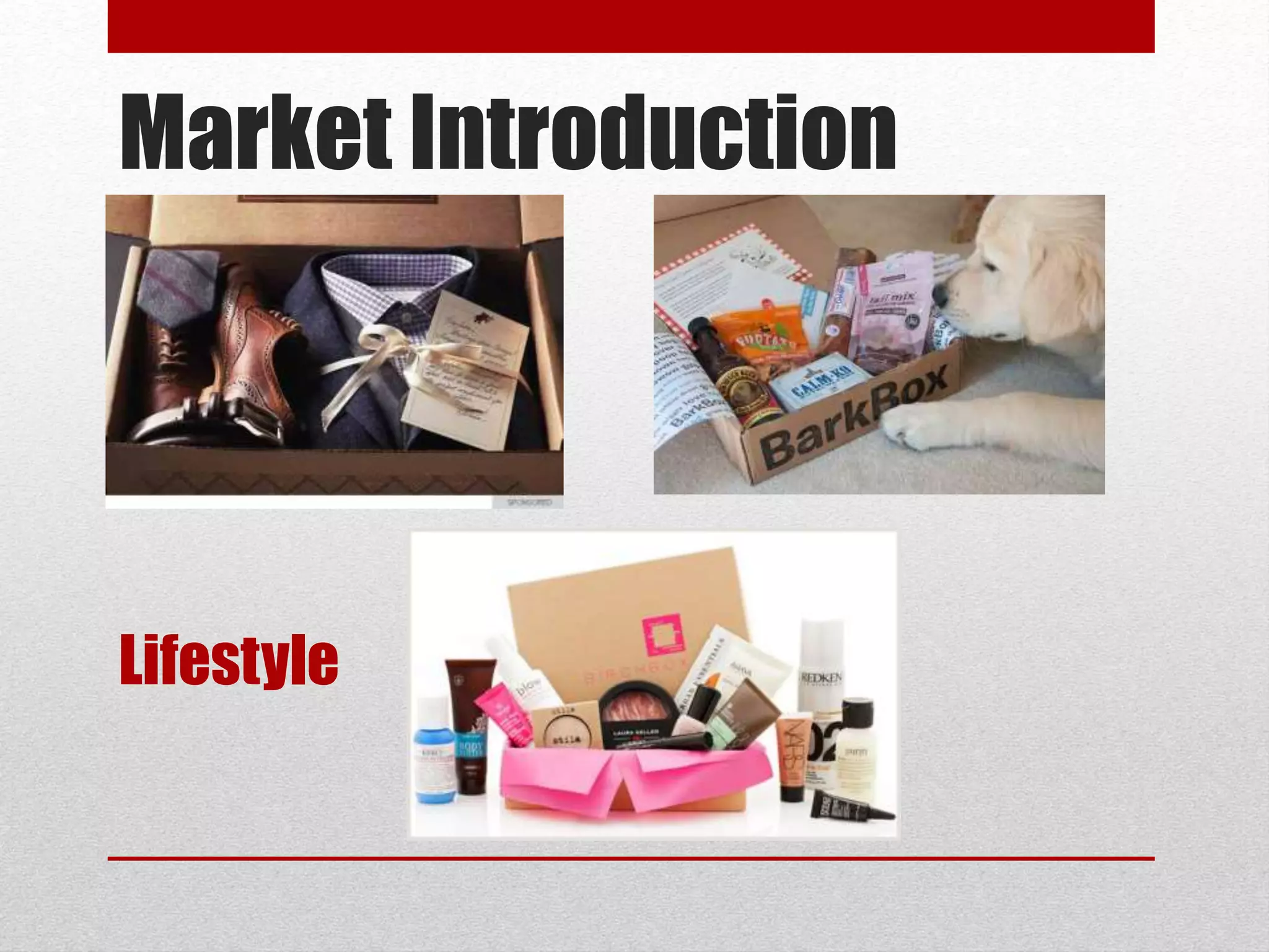 Market Introduction
Lifestyle
 