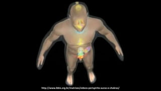 http://www.ibbis.org.br/matrizes/videos-perispirito-auras-e-chakras/
 
