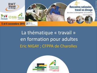 La thématique « travail »
en formation pour adultes
Eric NIGAY ; CFPPA de Charolles
 