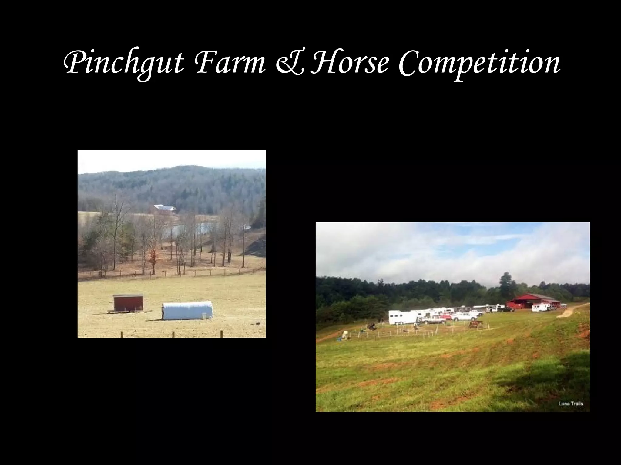Pinchgut Farm & Horse Competition
 