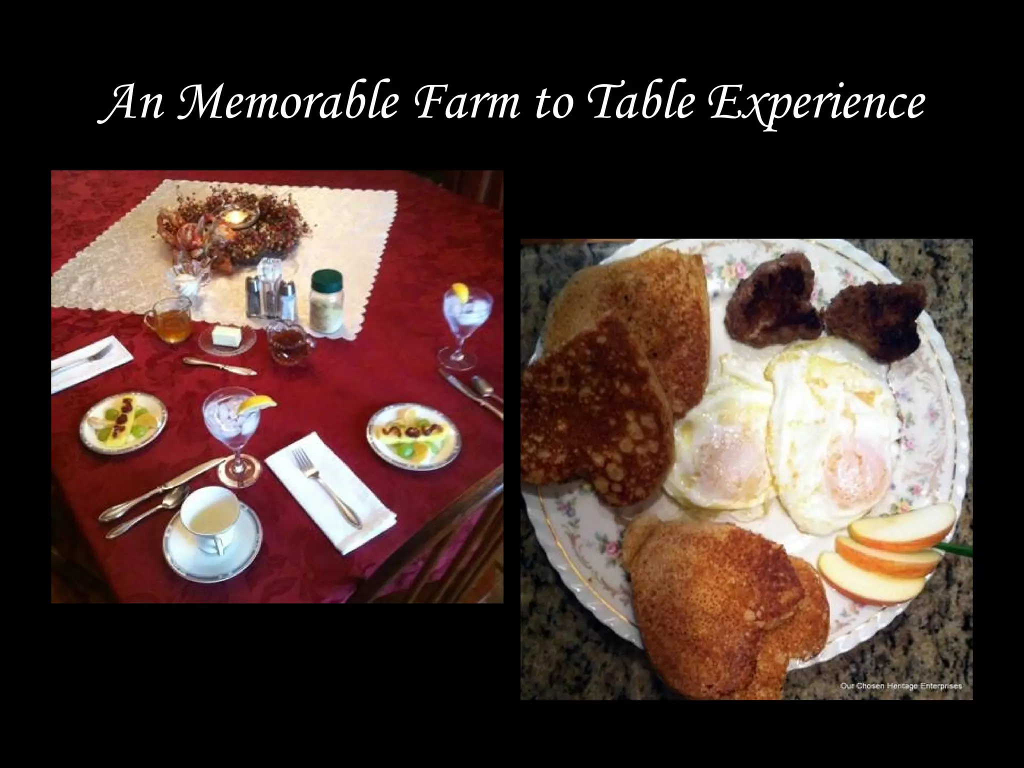 An Memorable Farm to Table Experience
 