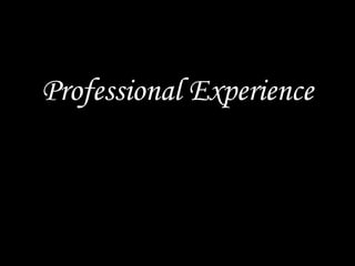 Professional Experience
 