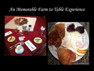 An Memorable Farm to Table Experience
 