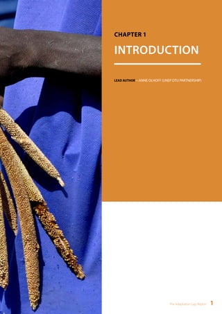 CHAPTER 1 
INTRODUCTION 
LEAD AUTHOR—ANNE OLHOFF (UNEP DTU PARTNERSHIP) 
The Adaptation Gap Report 1 
 