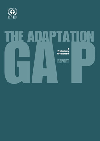 THE ADAPTATION 
GAREPORTP 
A 
Preliminary 
Assessment 
 