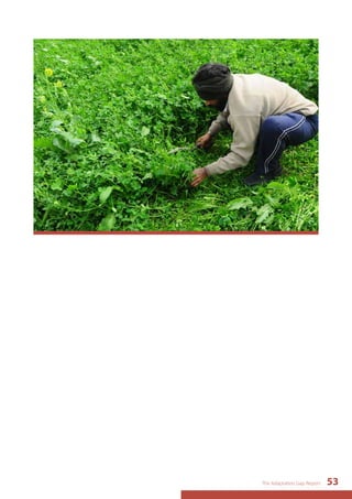 The Adaptation Gap Report 53 
 