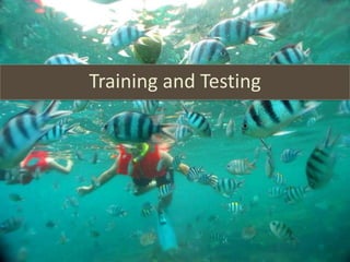 Training and Testing
 