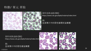特徵/ 單元 萃取
24
資料來源:(US	CDC)
https://www.cdc.gov/dpdx/malaria/index.html
圖:
血液薄片中的惡性瘧環狀滋養體
資料來源:(US	CDC)
https://www.cdc.gov/dpdx/malaria/index.html
圖:
血液薄片中的惡性瘧滋養體
王建凱提供
 