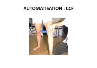 AUTOMATISATION : CCF
 