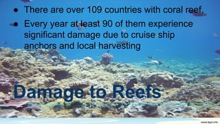 Damage to Reefs
● There are over 109 countries with coral reef.
● Every year at least 90 of them experience
significant damage due to cruise ship
anchors and local harvesting
 