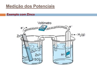Medição dos Potenciais
Exemplo com Zinco
 