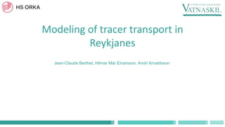 Modeling of tracer transport in
Reykjanes
Jean-Claude Berthet, Hilmar Már Einarsson, Andri Arnaldsson
 