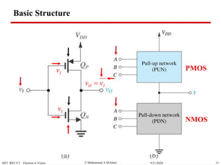  Muhammad A M IslamMTI BIO 313 Electron ic Vision 779/21/2020
O Iv v
Basic Structure
PMOS
Iv
NMOS
Iv
 