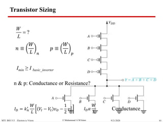  Muhammad A M IslamMTI BIO 313 Electron ic Vision 939/21/2020
Transistor Sizing
?
W
L

n & p: Conductance or Resistance?
Imin ≥ I basic_inverter
𝑛 ≡
𝑊
𝐿 𝑛
𝑝 ≡
𝑊
𝐿 𝑝
𝐼 𝐷 = 𝑘 𝑛
′
𝑊
𝐿
𝑉𝐼 − 𝑉𝑡 𝑣 𝑂 −
1
2
𝑣 𝑂
2 𝐼 𝐷 𝛼
𝑊
𝐿
Conductance
 