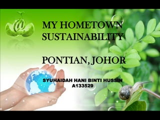 MY HOMETOWN
SUSTAINABILITY
PONTIAN, JOHOR
SYUHAIDAH HANI BINTI HUSSIN
A133529
 