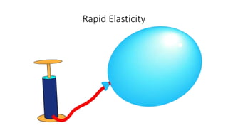 Rapid Elasticity
 