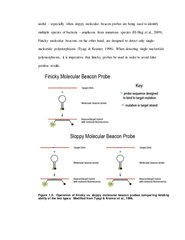 Single nucleotide polymorphism thesis