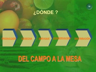 10
¿DÓNDE ?
PRODUCCIÓN COSECHA EMPAQUE CONSERVACIÓN DISTRIBUCIÓN
 