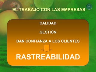 12
EL TRABAJO CON LAS EMPRESAS
SISTEMA INTEGRAL
CALIDAD
GESTIÓN
DAN CONFIANZA A LOS CLIENTES
RASTREABILIDAD
 