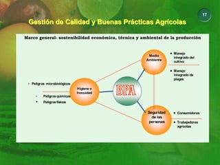 17
Gestión de Calidad y Buenas Prácticas Agrícolas
Gestión de Calidad y Buenas Prácticas Agrícolas
Marco general- sostenibilidad económica, técnica y ambiental de la producción
• Manejo
integrado del
cultivo
• Manejo
integrado de
plagas
• Consumidores
• Trabajadores
agrícolas
Higiene e
Inocuidad
Medio
Ambiente
Seguridad
de las
personas
• Peligros microbiológicos
• Peligrosquímicos
• Peligrosfísicos
 
