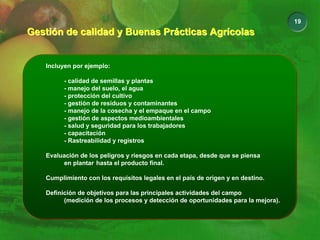 19
Gestión de calidad y Buenas Prácticas Agrícolas
Gestión de calidad y Buenas Prácticas Agrícolas
Incluyen por ejemplo:
- calidad de semillas y plantas
- manejo del suelo, el agua
- protección del cultivo
- gestión de residuos y contaminantes
- manejo de la cosecha y el empaque en el campo
- gestión de aspectos medioambientales
- salud y seguridad para los trabajadores
- capacitación
- Rastreabilidad y registros
Evaluación de los peligros y riesgos en cada etapa, desde que se piensa
en plantar hasta el producto final.
Cumplimiento con los requisitos legales en el país de origen y en destino.
Definición de objetivos para las principales actividades del campo
(medición de los procesos y detección de oportunidades para la mejora).
Incluyen por ejemplo:
- calidad de semillas y plantas
- manejo del suelo, el agua
- protección del cultivo
- gestión de residuos y contaminantes
- manejo de la cosecha y el empaque en el campo
- gestión de aspectos medioambientales
- salud y seguridad para los trabajadores
- capacitación
- Rastreabilidad y registros
Evaluación de los peligros y riesgos en cada etapa, desde que se piensa
en plantar hasta el producto final.
Cumplimiento con los requisitos legales en el país de origen y en destino.
Definición de objetivos para las principales actividades del campo
(medición de los procesos y detección de oportunidades para la mejora).
 