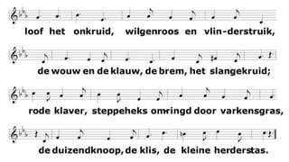 loof het onkruid,
wilgen roos en vlinderstruik,
de wouw en de klauw,
de brem, het slangekruid;
rode klaver, steppeheks
omringd door varkensgras,
de duizendknoop, de klis,
de kleine herderstas.
loof het onkruid,
mensen, volken niet in tel
de laagsten die zuchten
onder hoog bevel;
hongerslaven, krotbewoners,
wijd en zijd verspreid,
bestempeld en geschuwd
als last en minderheid.
Loof het onkruid,
en gedenk het oude woord:
de minste zal lachen,
leven ongehoord.
Onkruid wint, wat zeker is,
het allerlaatst gevecht
en brengt de minste mens
tot zijn verloren recht.
 