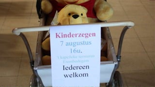 Onkruid tussen het graan (A16 2017)