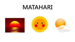 MATAHARI