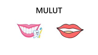 MULUT