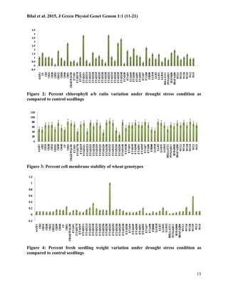 Evaluation of wheat genotypes for drought tolerance | PDF