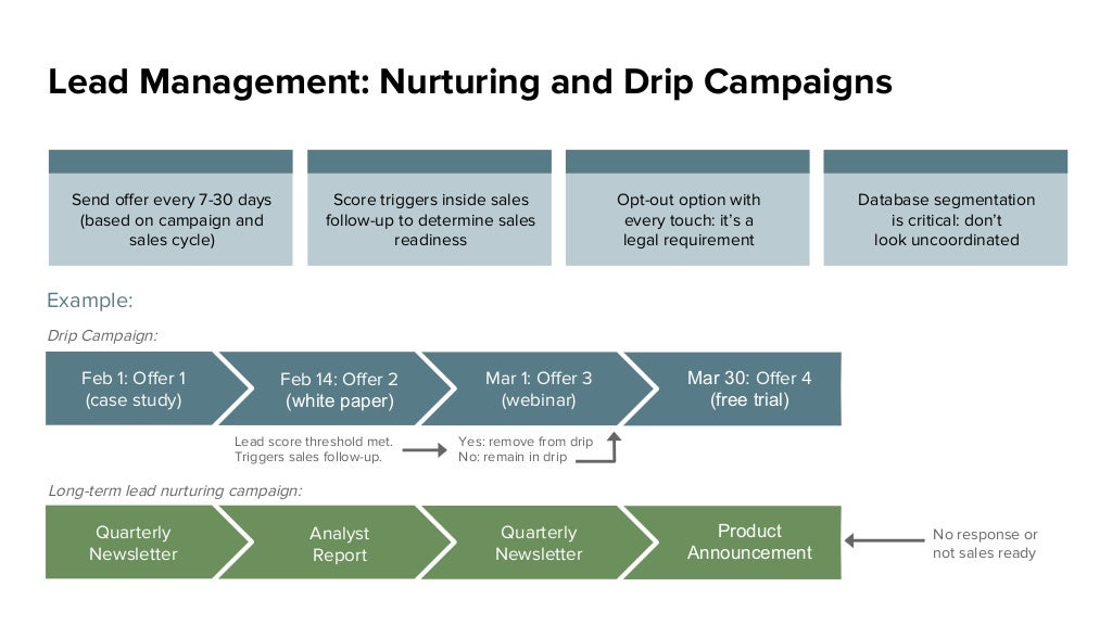 Drip Nurture Infographic Lead Management Use Drip Marketing To Nurture Leads Sourabh Mathur Drip Caign Template