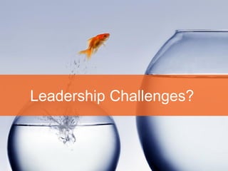© Sioux 2016 | Confidential | 17
Leadership Challenges?
 