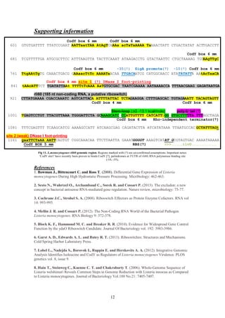 12
Supporting information
CodY box 6 mm CodY box 6 mm
TTTGACCAAACTATT CTGACTATAT ACTAAa acTaTaAAAA TaCAAATTaatTAA AtAgT601 GTGTGATTTT TTATCCGAAT
CodY box 6 mm
gCTAAgTATTTAAGTTA TACTTCAAAT ATAAGACCTG GTACTAATTC CTGCTAAAAG TGTTCGTTTTTGA ATGCGCTTCC681
CodY box 6 mm -35(!) SigA promote(?) -10(!) CodY box 6 mm
761 TtgAAtTgTG CAAACTGACG GAAaacTtTc AAAATaACAA TTGACAATCG CATGGCAACC ATATATATTA AAtAcTaaCA
CodY box 4 mm site 1 (!) DNase I foot-printing
841 tAAcATTTCT TGATATTAAt TTTTtTcAAA AaTGTGCGAC TAATCGAAAA AATAAAACCA TTTAACGAAG GAGATAATGA
rli60 (185 nt non-coding RNA, a putative riboswitch)
921 CTTATGAAAA CGACCAAATC AGTCATTACA ATTTTATTAC TCTAGAAGGA CTTTGAGCAC TGTAGAAATT TACAGTAGTT
CodY box 4 mm CodY box 6 mm
Stem-loop (DG -13.1 kcal/mole) poly-U tail (?)
1001 TGAGTCCTGT TTACGTTAAA TGGGATTCTA GCAAAGCATC CCATTGTTTT CATCATTGGG GTGCTTTTTA TTTAGCTAGA
CodY box 6 mm Rho-independent terminator(?)
1081 TTTCGAGTTT TCAAGCATCG AAAAGCCATT ATCAAGCGAG CAGATACTTA ATCATATAAA TTAATGCCAC GCTATTTAGt
site 2 (weak) DNase I foot-printing
1161 gaaTTCTaAA AATTCAGTGT CGGCAAACAA TTCTTAATTA GAAATGGGGT AAAGTCATAT GCGTAGTGAC AAAATAAAAA
CodY BOX 5 mm RBS(?) >>> ilvD
Fig 11. L.monocytogenes rli60 genomic region. Regions marked with (?) are un-confirmed assumptions. Important notes:
'CodY site1' have recently been proven to binds CodY [7], palindromes at 3'UTR of rli60, RNA polymerase binding site
(-10, -35).
References
1. Bowman J., Bittencourt C. and Ross T. (2008). Differential Gene Expression of Listeria
monocytogenes During High Hydrostatic Pressure Processing. Micribiology: 462-463.
2. Sesto N., Wuhrtzel O., Archambaud C., Sorek R. and Cossart P. (2013). The excludon: a new
concept in bacterial antisense RNA-mediated gene regulation. Nature review, microbiology: 75-77.
3. Cochrane J.C., Strobel S. A. (2008). Riboswitch Effectors as Protein Enzyme Cofactors. RNA vol
14: 993-995.
4. Mellin J. R. and Cossart P. (2012). The Non-Coding RNA World of the Bacterial Pathogen
Listeria monocytogenes. RNA Biology 9: 372-378.
5. Block K. F., Hammond M. C. and Breaker R. R. (2010). Evidence for Widespread Gene Control
Function by the ydaO Riboswitch Candidate. Journal Of Bacteriology vol. 192: 3983-3986.
6. Garst A. D., Edwards A. L. and Batey R. T. (2013). Riboswitches: Structures and Mechanisms.
Cold Spring Harbor Laboratory Press.
7. Lobel L., Nadejda S., Borovok I., Ruppin E. and Herskovits A. A. (2012). Integrative Genomic
Analysis Identifies Isoleucine and CodY as Regulators of Listeria monocytogenes Virulence. PLOS
genetics vol. 8, issue 9.
8. Hain T., Steinweg C., Kuenne C. T. and Chakroborty T. (2006). Whole-Genome Sequence of
Listeria welshimeri Reveals Common Steps in Genome Reduction with Listeria innocua as Compared
to Listeria monocytogenes. Journal of Bacteriology Vol.188 No.21: 7405-7407.
 