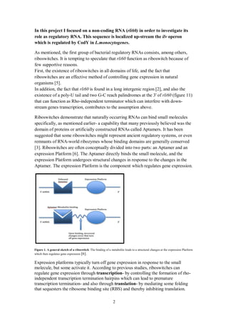2
In this project I focused on a non-coding RNA (rli60) in order to investigate its
role as regulatory RNA. This sequence is localized up-stream the ilv operon
which is regulated by CodY in L.monocytogenes.
, among others,s, the first group of bacterial regulatory RNAs consists mentionedA
because ofriboswitchfunction asrli60It is tempting to speculate thatriboswitches.
few supportive reasons.
the fact thatnda,all domains of lifeinnce of riboswitcheshe existetFirst,
are an effective method of controlling gene expression in naturalriboswitches
.[5]organisms
thealsoand,[2]in a long intergenic regionfoundisrli60In addition, the fact that
)1(figure 1rli60ofat the 3'palindromesC reach-Gand twotailU-polyaexistence of
-downwithwhich can interfereindependent terminator-Rhofunction asthat can
transcription, contributes to the assumption above.stream genes
can bind small moleculessRNARiboswitches demonstrate that naturally occurring
a capability that many previously believed was the-as mentioned earlierspecifically,
It has been.ptamersAor artificially constructed RNAs calledproteinsdomain of
ry systems, or evensuggested that some riboswitches might represent ancient regulato
conservedgenerallydomains arewhose bindingribozymesworld-RNAremnants of
and anptamerARiboswitches are often conceptually divided into two parts: an[3].
expression Platform [6]. The Aptamer directly binds the small molecule, and the
expression Platform undergoes structural changes in response to the changes in the
Aptamer. The expression Platform is the component which regulates gene expression.
Figure 1. A general sketch of a riboswitch. The binding of a metabolite leads to a structural changes at the expression Platform
which then regulates gene expression [6].
Expression platforms typically turn off gene expression in response to the small
molecule, but some activate it. According to previous studies, riboswitches can
regulate gene expression through transcription- by controlling the formation of rho-
independent transcription termination hairpins which can lead to premature
transcription termination- and also through translation- by mediating some folding
that sequesters the ribosome binding site (RBS) and thereby inhibiting translation.
 