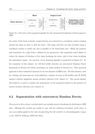 116 Chapter 6. Localising the heart, lungs and liver
Figure 6.1: Overview of the proposed pipeline for the automated localisation of fetal organs in
MRI.
the center of the brain is known, image features are extracted in a coordinate system rotating
around the brain in order to ﬁnd the heart. The lungs and liver are then localised using a
coordinate system in which one axis is parallel to the heart-brain axis. While the position
and orientation of a rigid body is deﬁned by six parameters, this sequential search allows to
reduce the degrees of freedom to ﬁve when localising the heart, and to four when localising
the subsequent organs. An overview of our proposed pipeline is presented in Figure 6.1. In
the remainder of this chapter, we will ﬁrst brieﬂy describe our autocontext Random Forest
framework in Section 6.2 before presenting our main method in Section 6.3. This proposed
approach is then evaluated in Section 6.4 on two datasets of MRI scans. The ﬁrst dataset, used
for training and leave-one-out cross-validation, consists of scans of 30 healthy and 25 IUGR
subjects without signiﬁcant motion artefacts (Section 2.3.2, dataset 2). The second dataset
(64 subjects) is used to evaluate the performance of the proposed method in the presence of
motion artefacts (Section 2.3.3, dataset 3).
6.2 Segmentation with autocontext Random Forests
We present in this section a method which was initially aimed at localising the fetal body in MRI
data. Although this method was unable to cope with the arbitrary orientation of the fetus, it
was successfully applied to the task of segmenting the left ventricle in echocardiographic images
in the CETUS challenge (MICCAI 2014).
 