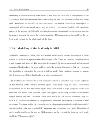 2.2. Fetal development 41
developing a machine learning based model of the fetus. In particular, it is important to use
a consistent left/right convention before extracting features that are computed on the image
grid. As detailed in Appendix A, there are indeed two possible conventions, neurological or
radiological, which correspond respectively to a direct or an indirect basis for the coordinate
system of the scanner. Additionally, mirroring images is a common practice in machine learning
in order to augment the size of the training database. This approach can be considered for the
fetal head, but not for the whole body of the fetus.
2.2.4 Modelling of the fetal body in MRI
A skeleton based model, using joints articulations as landmarks, sounds appealing as it corre-
sponds to the intuitive representation of the human body. There are currently two publications
which propose such a model. The method of Anquez et al. [5] is semi-automated, with a manual
selection of landmarks in the arms and legs, while the work of Klinder et al. [83] only considers
the feasibility of estimating the pose of a skeleton model from candidate landmarks, leaving
the detection step of these landmarks as a future development.
In this thesis, we advocate for a blob-like model instead of a skeleton based model and focus
on the detection of the center of diﬀerent organs (brain, heart, lungs and liver). This choice
is motivated by the fact that these organs have a size which is large compared to the slice
thickness and due to their blob-like shape, they appear as relatively coherent 3D structures
despite motion artefacts. The bones of the fetus, which are thin tubular structures, may not
form a 3D structure as coherent as the previously mentioned fetal organs in the case of fetal
movement. Moreover, unlike the bones of the fetus, these organs are clearly visible in the ssFSE
and single shot turbo spin echo (ssTSE) sequences used throughout this thesis. This choice of
model might be diﬀerent for another MRI sequence, as the bones of the fetus are particularly
visible in EPI sequences [107].
 
