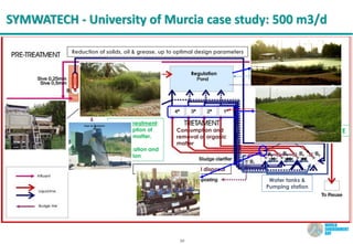 20
SYMWATECH - University of Murcia case study: 500 m3/d
Reduction of solids, oil & grease, up to optimal design parameters
Sludge removal and final disposal
Screening, sieving,
regulation tank,
pumping Consumption and
removal of organic
matter
Regulation
Symbiotic reactor
(Stage 1 to 4)
Tertiary treatment:
Consumption of
organic matter,
oxygen,
denitrification and
disinfection
Water tanks &
Pumping station
TSE
Rings’ filters
Area = 395 m2
Area = 4,131 m2
 