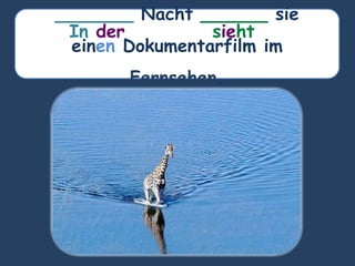 _______ Nacht ______ sie
einen Dokumentarfilm im
Fernsehen.
sieht
In der
 
