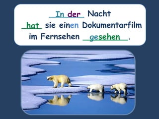 _______ Nacht
____ sie einen Dokumentarfilm
im Fernsehen _________.
hat
In der
gesehen
 