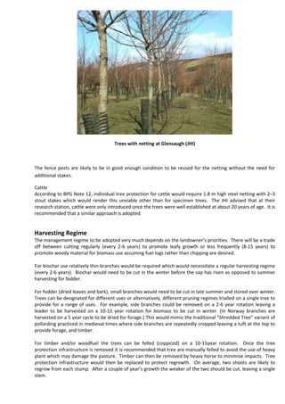 Trees with netting at Glensaugh (JHI)
The fence posts are likely to be in good enough condition to be reused for the netting without the need for
additional stakes.
Cattle
According to BPG Note 12, individual tree protection for cattle would require 1.8 m high steel netting with 2–3
stout stakes which would render this unviable other than for specimen trees. The JHI advised that at their
research station, cattle were only introduced once the trees were well established at about 20 years of age. It is
recommended that a similar approach is adopted.
Harvesting Regime
The management regime to be adopted very much depends on the landowner’s priorities. There will be a trade
off between cutting regularly (every 2-6 years) to promote leafy growth or less frequently (8-15 years) to
promote woody material for biomass use assuming fuel logs rather than chipping are desired.
For biochar use relatively thin branches would be required which would necessitate a regular harvesting regime
(every 2-6 years). Biochar would need to be cut in the winter before the sap has risen as opposed to summer
harvesting for fodder.
For fodder (dried leaves and bark), small branches would need to be cut in late summer and stored over winter.
Trees can be designated for different uses or alternatively, different pruning regimes trialled on a single tree to
provide for a range of uses. For example, side branches could be removed on a 2-6 year rotation leaving a
leader to be harvested on a 10-15 year rotation for biomass to be cut in winter. (In Norway branches are
harvested on a 5 year cycle to be dried for forage.) This would mimic the traditional “Shredded Tree” variant of
pollarding practiced in medieval times where side branches are repeatedly cropped leaving a tuft at the top to
provide forage, and timber.
For timber and/or woodfuel the trees can be felled (coppiced) on a 10-15year rotation. Once the tree
protection infrastructure is removed it is recommended that tree are manually felled to avoid the use of heavy
plant which may damage the pasture. Timber can then be removed by heavy horse to minimise impacts. Tree
protection infrastructure would then be replaced to protect regrowth. On average, two shoots are likely to
regrow from each stump. After a couple of year’s growth the weaker of the two should be cut, leaving a single
stem.
 