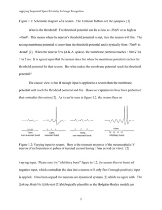 Applying Sequential Space Relativity for Image Recognition
Figure 1.1: Schematic diagram of a neuron. The Terminal buttons are the synapses. [1]
What is the threshold? The threshold potential can be as low as -55mV or as high as
-40mV. This means when the neuron’s threshold potential is met, then the neuron will fire. The
resting membrane potential is lower than the threshold potential and is typically from -70mV to
-60mV [2]. When the neuron fires (A.K.A. spikes), the membrane potential reaches +30mV for
1 to 2 ms. It is agreed upon that the neuron does fire when the membrane potential reaches the
threshold potential for that neuron. But what makes the membrane potential reach the threshold
potential?
The classic view is that if enough input is applied to a neuron then the membrane
potential will reach the threshold potential and fire. However experiments have been performed
that contradict this notion [2]. As it can be seen in figure 1.2, the neuron fires on
Figure 1.2: Varying input to neuron. Here is the resonant response of the mesencephalic V
neuron of rat brainstem to pulses of injected current having 10ms period (in vitro). [2]
varying input. Please note the “inhibitory burst” figure in 1.2, the neuron fires to bursts of
negative input, which contradicts the idea that a neuron will only fire if enough positively input
is applied. It has been argued that neurons are dynamical systems [2] which we agree with. The
Spiking Model by Izhikevich [3] (biologically plausible as the Hodgkin-Huxley model) can
2
 
