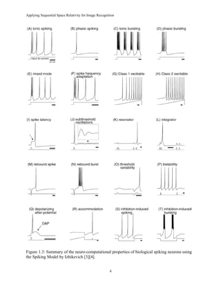 Applying Sequential Space Relativity for Image Recognition
Figure 1.3: Summary of the neuro-computational properties of biological spiking neurons using
the Spiking Model by Izhikevich [3][4].
4
 