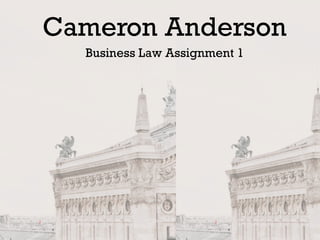 Cameron Anderson
Business Law Assignment 1
 