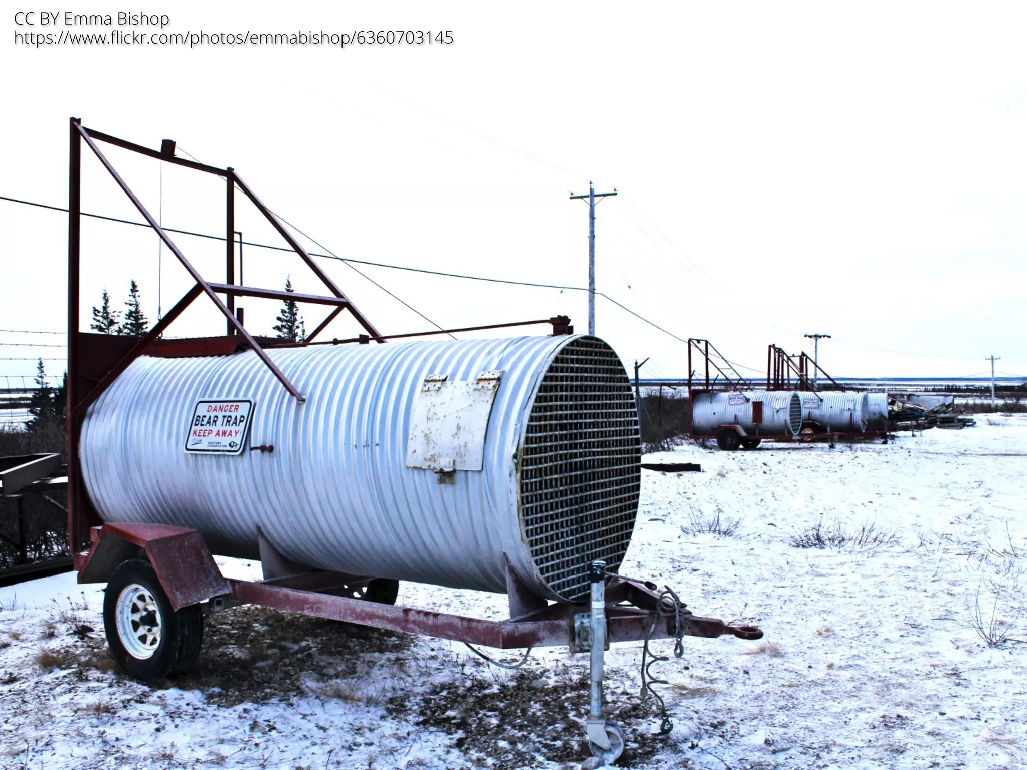 CC BY Emma Bishop 
https://www.flickr.com/photos/emmabishop/6360703145 
 