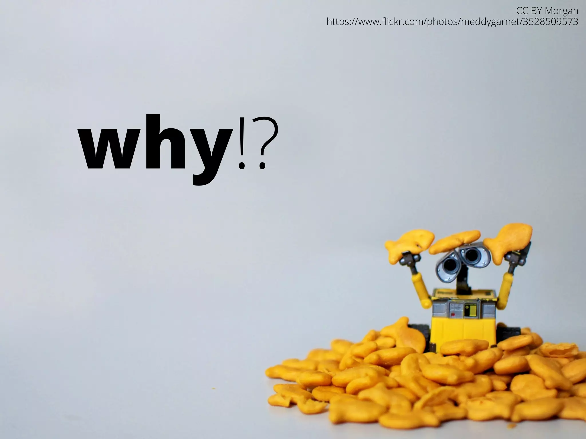 why!? 
CC BY Morgan 
https://www.flickr.com/photos/meddygarnet/3528509573 
 