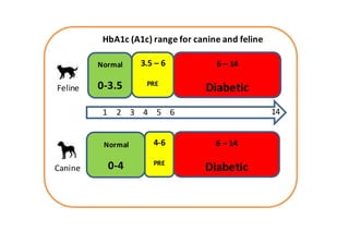 Normal
0-4
4-6
PRE
6 – 14
Diabetic
Normal
0-3.5
3.5 – 6
PRE
6 – 14
Diabetic
6 141
1
1
1
Feline
Canine
HbA1c (A1c) range for canine and feline
3
1
1
1
2
1
1
1
4
1
1
1
5
1
1
1
 