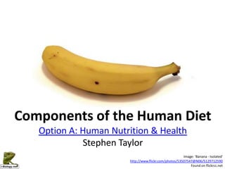 Components of the Human Diet
   Option A: Human Nutrition & Health
             Stephen Taylor
                                                       Image: 'Banana - Isolated'
                       http://www.flickr.com/photos/53507547@N06/5129712590
                                                           Found on flickrcc.net
 
