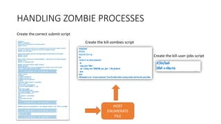 HANDLING ZOMBIE PROCESSES
HOST
ENUMERATE
FILE
Create the correct submit script
Create the kill-zombies script
Create the kill-user-jobs script
 